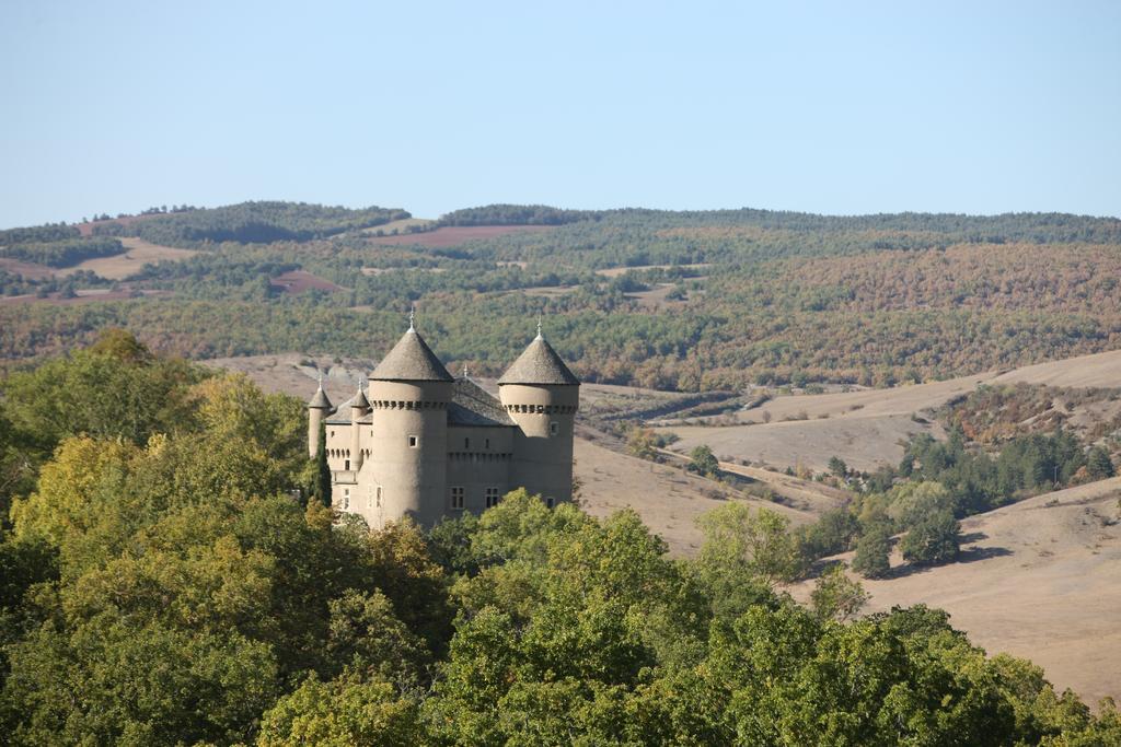 Chateau De Lugagnac Riviere-sur-Tarn Экстерьер фото