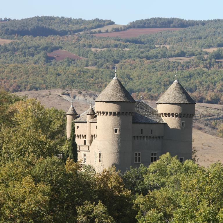 Chateau De Lugagnac Riviere-sur-Tarn Экстерьер фото